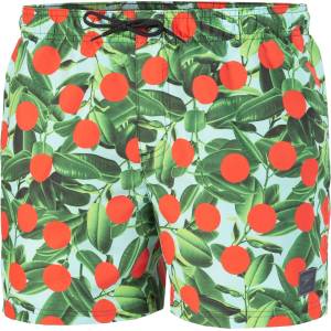 Speedo Плувни шорти digi print leis 14 wsht am (8-13454h120)