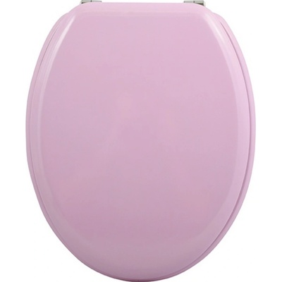 MSV CLEO 140017