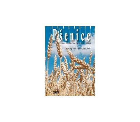 Pšenice