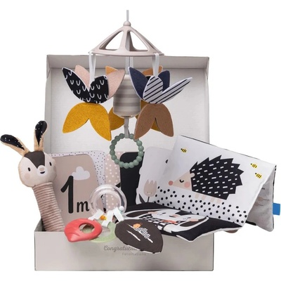 Игрален комплект за новородено Taf Toys - Черно бели елементи, 10 части (TT13475)