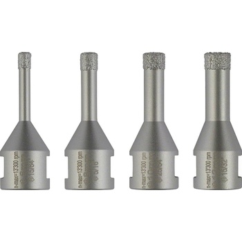 Bosch 2607017579