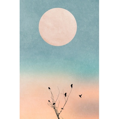 Plagát, Obraz - Waking Up Warm, Kubistika, 26.7 × 40 cm