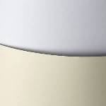 Galeria papieru Argo Paper, decorative business card cardboard A4 250g/m2 blank, 20 sheets white (36K115A)