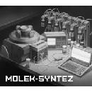 Molek-Syntez