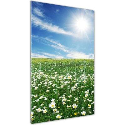 Vertikálny foto obraz fotografie na skle Lúka 50x100 cm