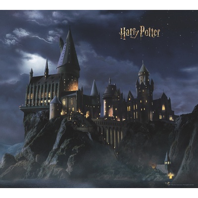 AG Design FTD4P 7803 Vliesová fototapeta Harry Potter, rozměry 300 x 270 cm