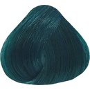 Dusy Color Injection pigmentová farba Alp Green 115 ml