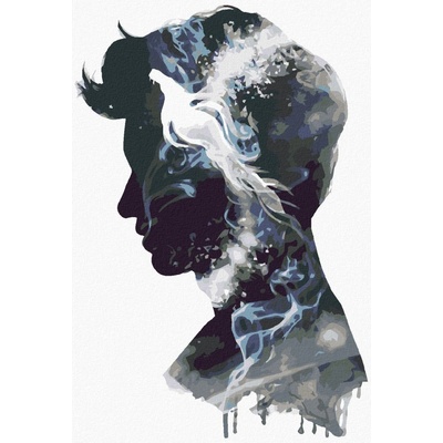 Zuty Silueta mlok scamander fantastická zvířata 40 x 50 cm vypnuté plátno na rám 8596530204978