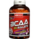 Aminokyseliny XXtreme Nutrition 211 BCAA Malate 240 kapsúl