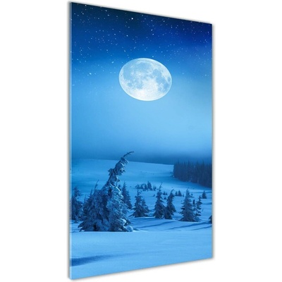 Vertikálny foto obraz fotografie na skle Spln 50x100 cm