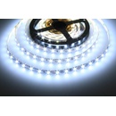 T-LED 077032