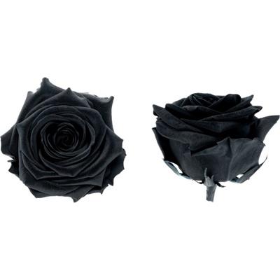 Hlavy ruží - premium 4 ks Black - čierna