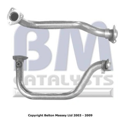BM CATALYSTS BM70399