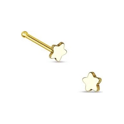 Šperky4U zlacený piercing do nosu hvězda N01159-GD
