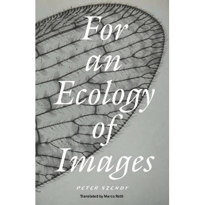 For an Ecology of Images Verso Books