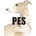 Pes v umění