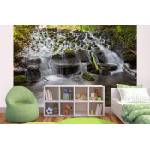 DIMEX ART Самозалепваща се флизелинова фототапета парк марлей ирландия 375 x 250 см