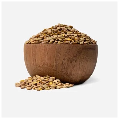 Grizly Čočka hnědá Laird 1000 g
