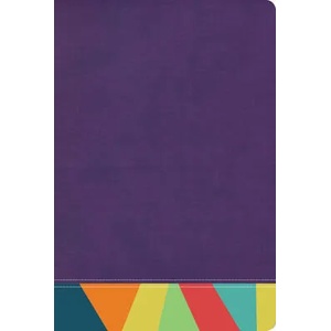 Rvr 1960 Biblia de Estudio Arcoiris, Morado/Multicolor | B&h Espa? ol Editorial (ISBN: 9781087706054)