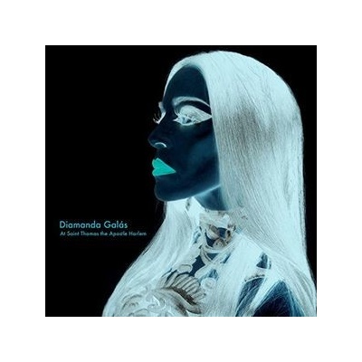 At Saint Thomas the Apostle Harlem - Diamanda Galas LP