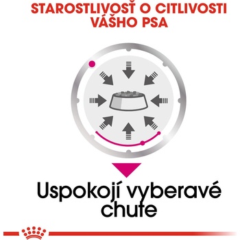 Royal Canin Exigent 12 x 85 g