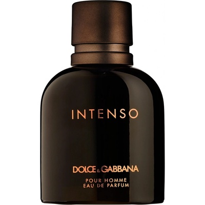 Dolce & Gabbana Intenso parfémovaná voda pánská 75 ml