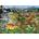 Bluebird Puzzle - Puzzle François Ruyer: Explorers and Dinosaurs - 1 500 piese