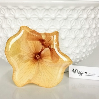 Meganflo Брошка орхидея