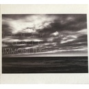 Tomahawk - Tonic Immobility CD