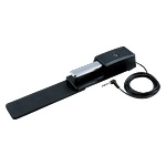 Roland Group DP-10