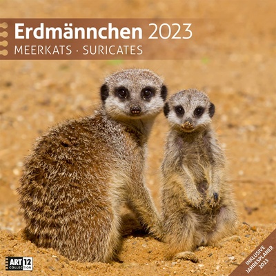 Ackermann Календар Ackermann - Сурикати, 2023