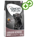 Concept for Life Large Junior 12 kg