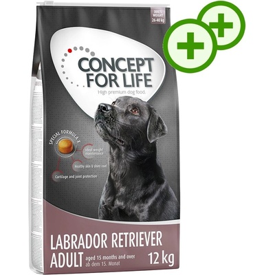 Concept for Life Large Adult 12 kg