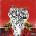 New Levels New Devils - Polyphia CD