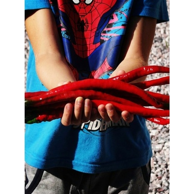 Elephant s Trunk – Zboží Mobilmania