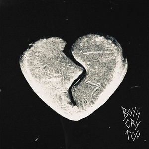 The Haunted Youth - Boys Cry Too (CD) (5400863206055)