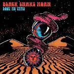 Black Snake Moan - Lost In Time (Limited Edition) (LP) (8016670162377)