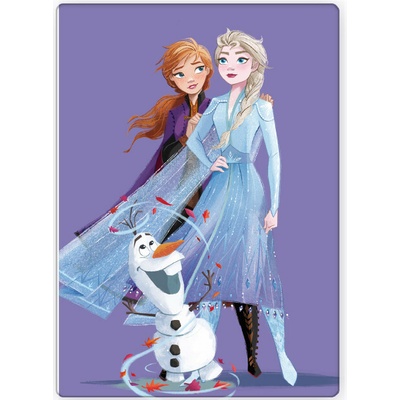 BrandMac Dětská deka FROZEN polar fleece fialová
