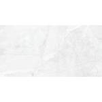 SERAMIKSAN ФАЯНС ZEUS SILVER 30x60 ГЛАНЦ (07360310)