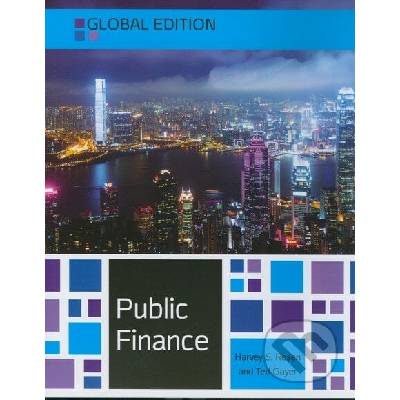 Public Finance - T. Gayer, H. Rosen