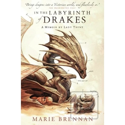 In the Labyrinth of Drakes - Brennan Marie
