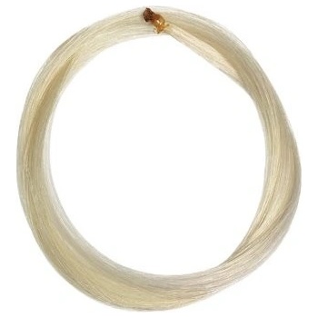 Dictum vlásie na husľový slák Mongol