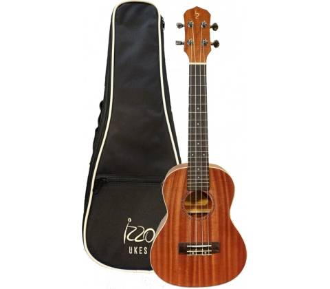 Izzo IZ300CS EQ