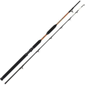 WFT NEVER CRACK BOAT CAT 2,1 m 200 - 1000 g 2 diely