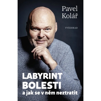 Labyrint bolesti