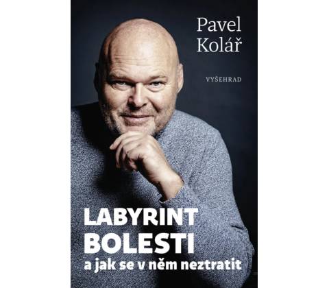 Labyrint bolesti