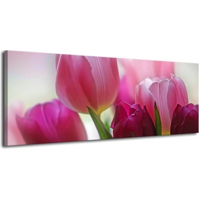 Obraz růžový tulipán plátno 1 100x40
