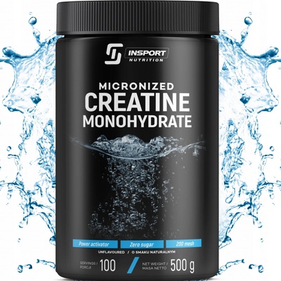 Insport Nutrition Creatine 500 g