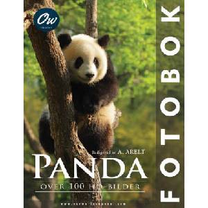 Panda | A Arelt, Our World (2025)