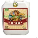 Advanced Nutrients B-52 4 l